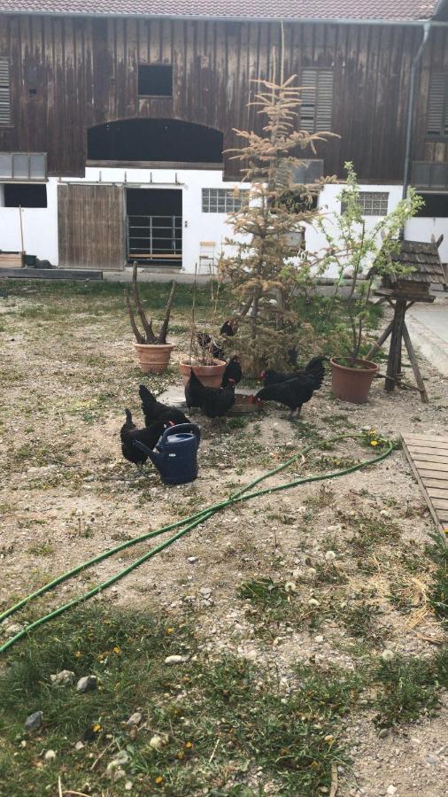 Pferdehof-Dietzsch Tittmoning Zewnętrze zdjęcie
