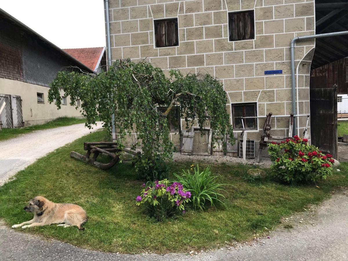 Pferdehof-Dietzsch Tittmoning Zewnętrze zdjęcie